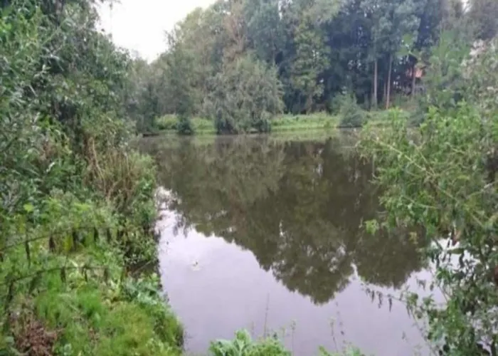 公寓 For Four 里斯